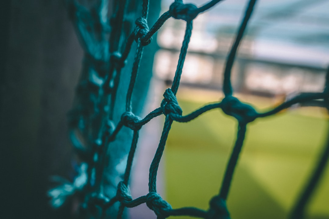 Experience the Thrill of Fantasy Cricket with Pulse Sport: Where Every Match is an Adventure!